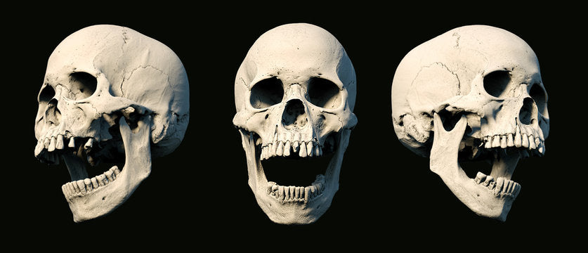 Skulls