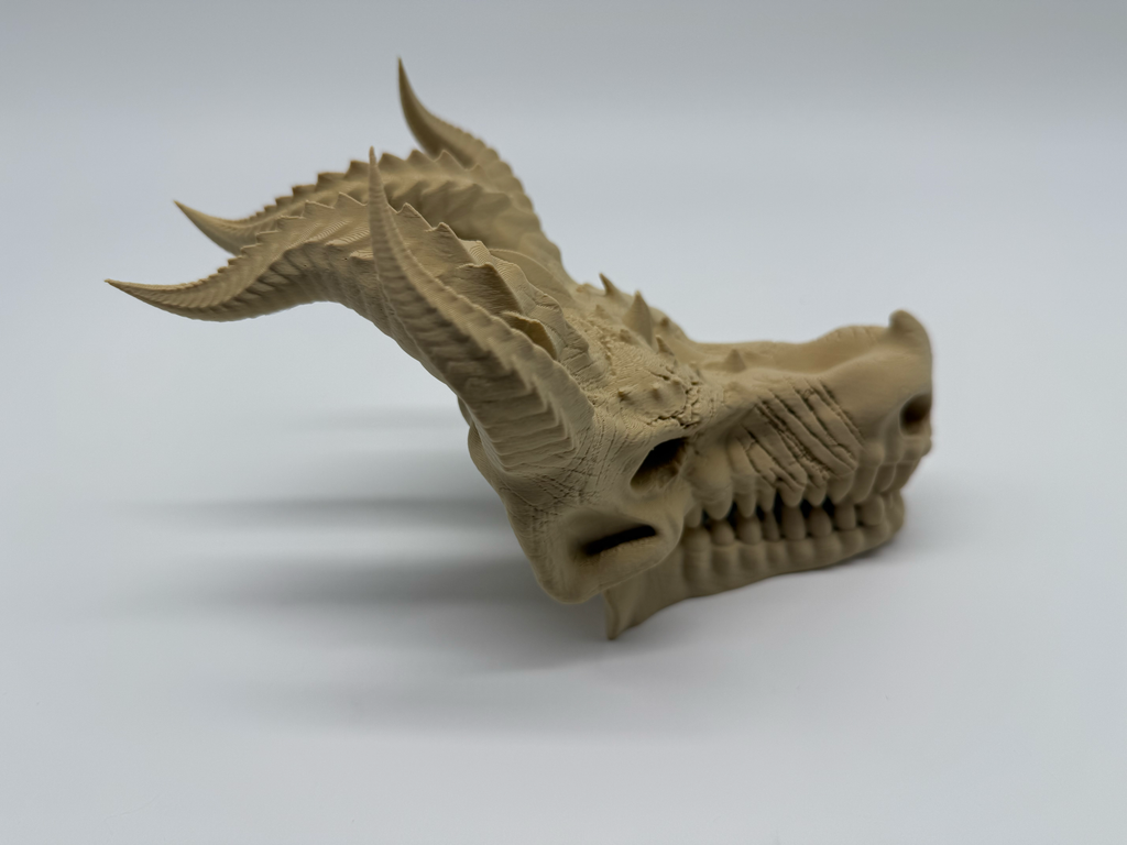 Draken Schedel -Premium Quality